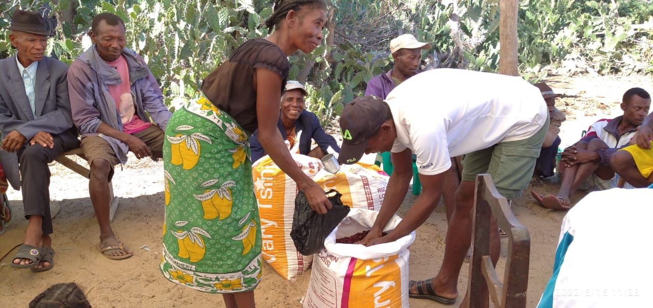 distribution semences